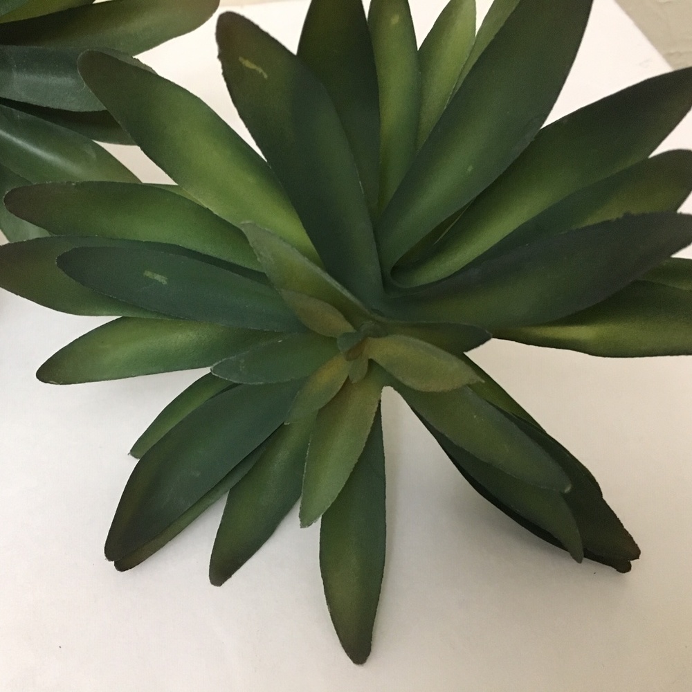 3 Hearth & Hand Faux Succulent Stem Leaves - Picture 3 of 5